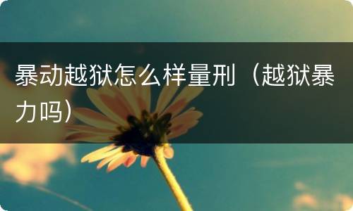 暴动越狱怎么样量刑（越狱暴力吗）
