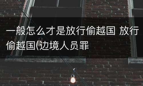 一般怎么才是放行偷越国 放行偷越国(边境人员罪
