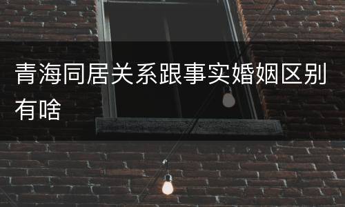 青海同居关系跟事实婚姻区别有啥