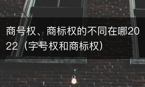 商号权、商标权的不同在哪2022（字号权和商标权）
