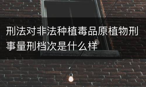 刑法对非法种植毒品原植物刑事量刑档次是什么样