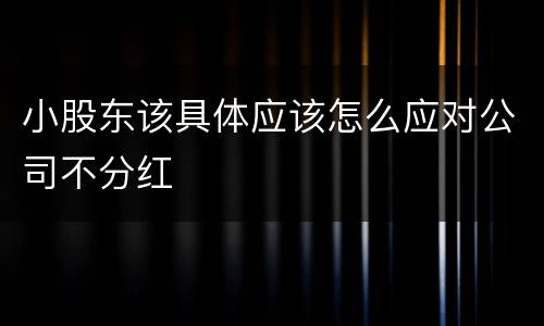 小股东该具体应该怎么应对公司不分红