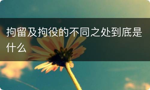 拘留及拘役的不同之处到底是什么