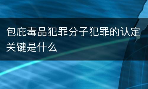 包庇毒品犯罪分子犯罪的认定关键是什么