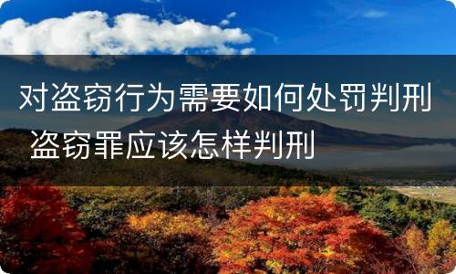对盗窃行为需要如何处罚判刑 盗窃罪应该怎样判刑