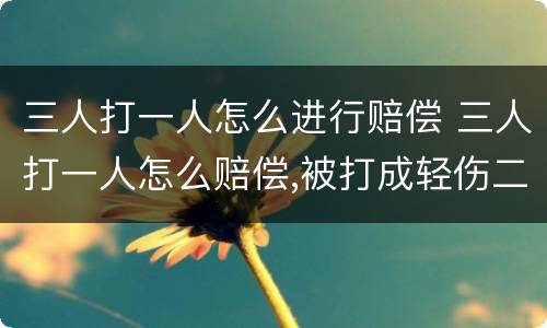 三人打一人怎么进行赔偿 三人打一人怎么赔偿,被打成轻伤二级 该赔偿多少钱?