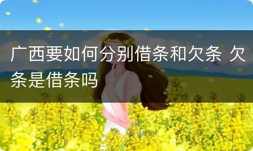 广西要如何分别借条和欠条 欠条是借条吗