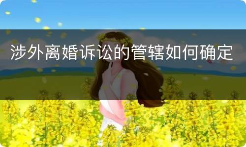 涉外离婚诉讼的管辖如何确定