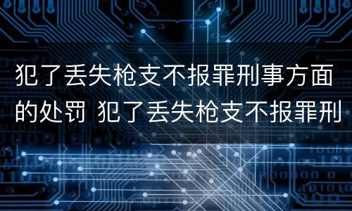 犯了丢失枪支不报罪刑事方面的处罚 犯了丢失枪支不报罪刑事方面的处罚有哪些