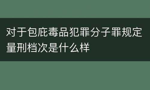 对于包庇毒品犯罪分子罪规定量刑档次是什么样