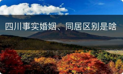 四川事实婚姻、同居区别是啥
