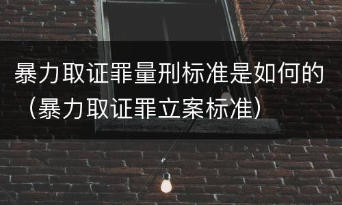 暴力取证罪量刑标准是如何的（暴力取证罪立案标准）
