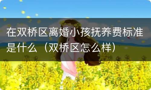 在双桥区离婚小孩抚养费标准是什么（双桥区怎么样）