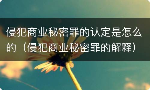 侵犯商业秘密罪的认定是怎么的（侵犯商业秘密罪的解释）