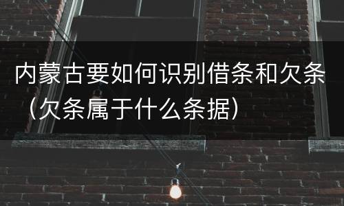 内蒙古要如何识别借条和欠条（欠条属于什么条据）