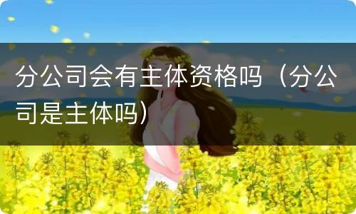 分公司会有主体资格吗（分公司是主体吗）