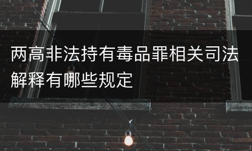 两高非法持有毒品罪相关司法解释有哪些规定