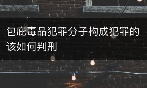 包庇毒品犯罪分子构成犯罪的该如何判刑