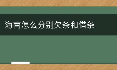 海南怎么分别欠条和借条