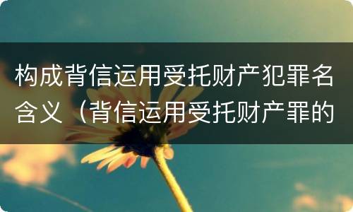 构成背信运用受托财产犯罪名含义（背信运用受托财产罪的犯罪主体）