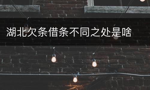 湖北欠条借条不同之处是啥