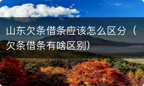 山东欠条借条应该怎么区分（欠条借条有啥区别）