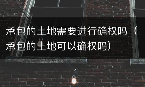 承包的土地需要进行确权吗（承包的土地可以确权吗）