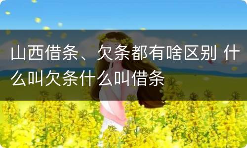 山西借条、欠条都有啥区别 什么叫欠条什么叫借条