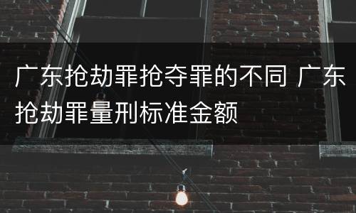 广东抢劫罪抢夺罪的不同 广东抢劫罪量刑标准金额