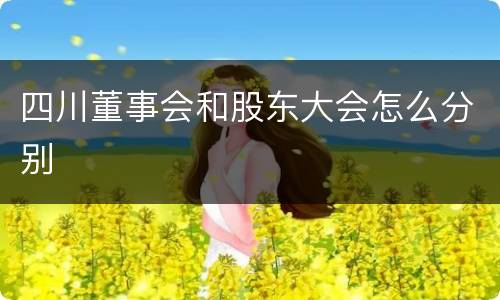 四川董事会和股东大会怎么分别