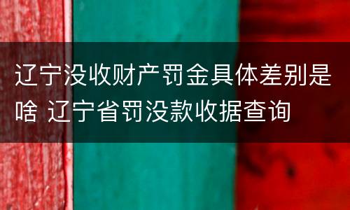 辽宁没收财产罚金具体差别是啥 辽宁省罚没款收据查询