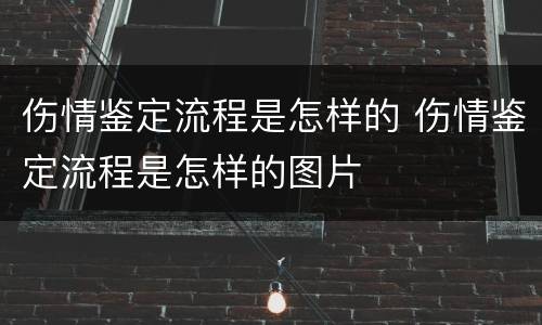 伤情鉴定流程是怎样的 伤情鉴定流程是怎样的图片