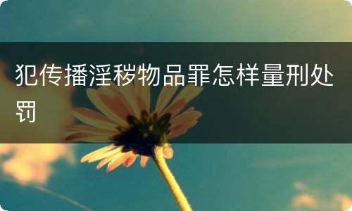 犯传播淫秽物品罪怎样量刑处罚