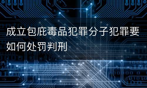 成立包庇毒品犯罪分子犯罪要如何处罚判刑
