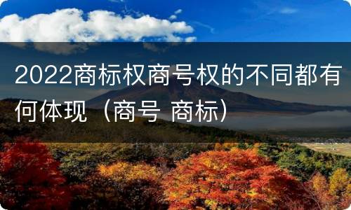 2022商标权商号权的不同都有何体现（商号 商标）