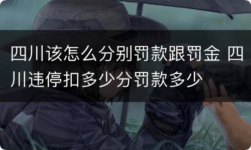 四川该怎么分别罚款跟罚金 四川违停扣多少分罚款多少
