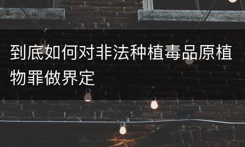 到底如何对非法种植毒品原植物罪做界定