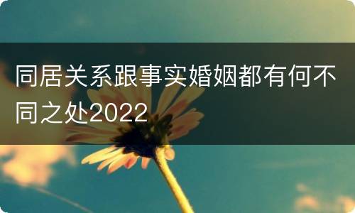 同居关系跟事实婚姻都有何不同之处2022
