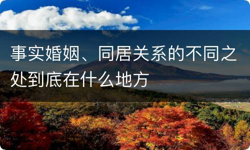 事实婚姻、同居关系的不同之处到底在什么地方