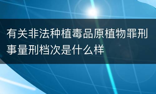 有关非法种植毒品原植物罪刑事量刑档次是什么样
