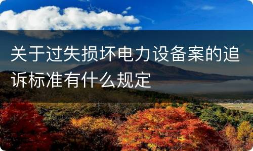 关于过失损坏电力设备案的追诉标准有什么规定
