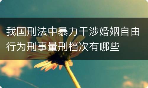 我国刑法中暴力干涉婚姻自由行为刑事量刑档次有哪些