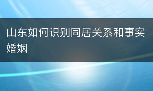 山东如何识别同居关系和事实婚姻
