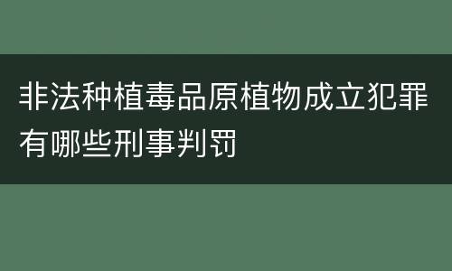 非法种植毒品原植物成立犯罪有哪些刑事判罚