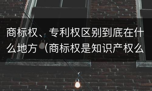 商标权、专利权区别到底在什么地方（商标权是知识产权么）