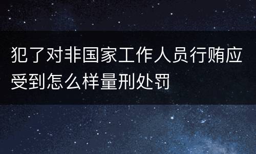犯了对非国家工作人员行贿应受到怎么样量刑处罚