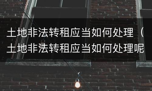 土地非法转租应当如何处理（土地非法转租应当如何处理呢）