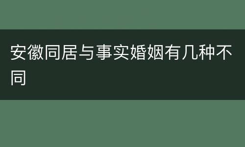 安徽同居与事实婚姻有几种不同