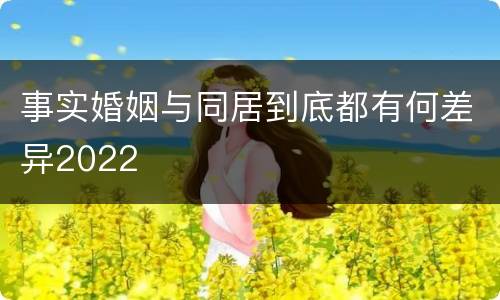 事实婚姻与同居到底都有何差异2022