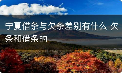 宁夏借条与欠条差别有什么 欠条和借条的
